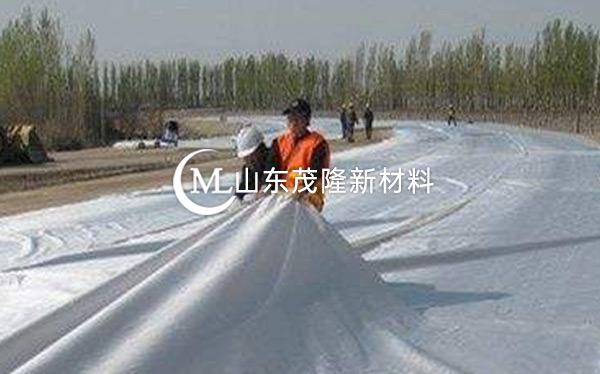 《河北省邯鄲園博園》土工布、排水板施工