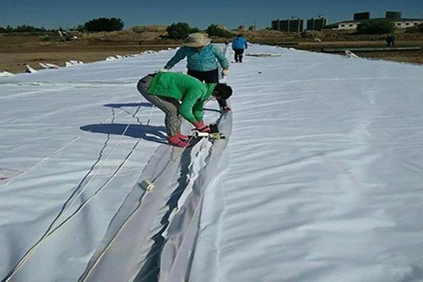 復(fù)合土工膜應(yīng)該怎么使用呢？  第2張