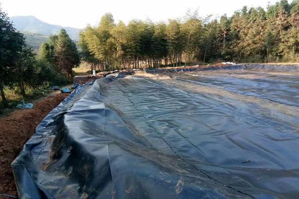 不同環(huán)境對(duì)土工膜性能的影響及其分析  第3張