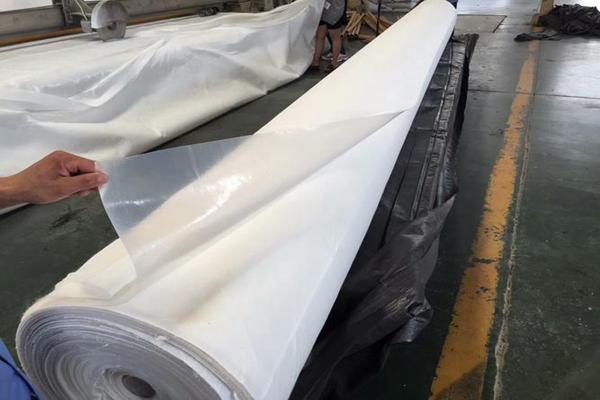 復合土工膜在生態(tài)水利工程中的應用  第2張